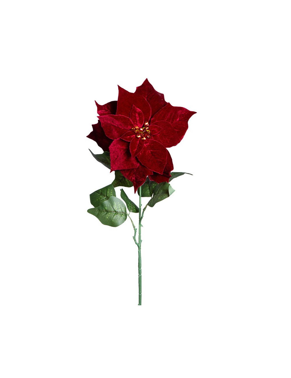 Red Christmas flower
