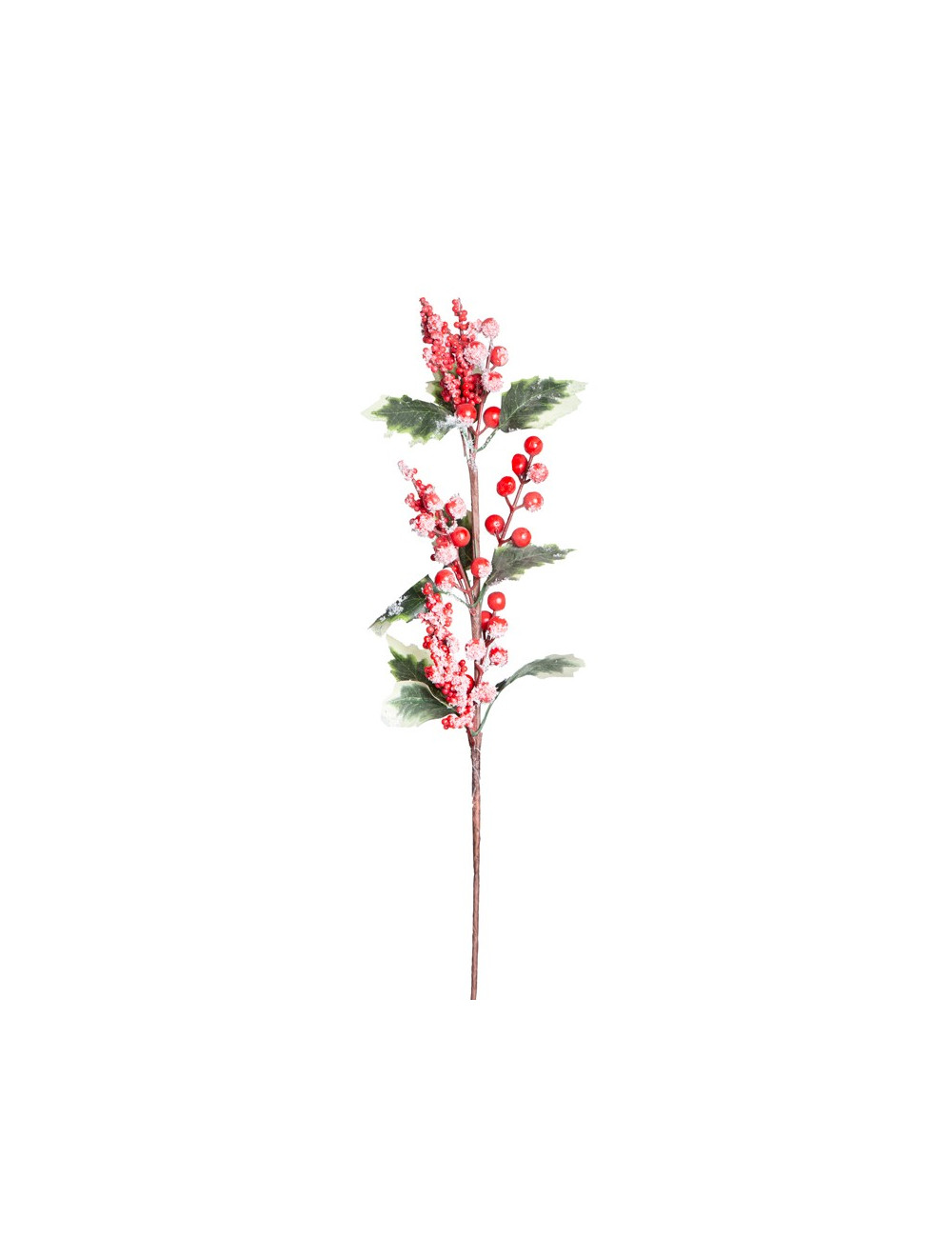 Branches of red berries with snow