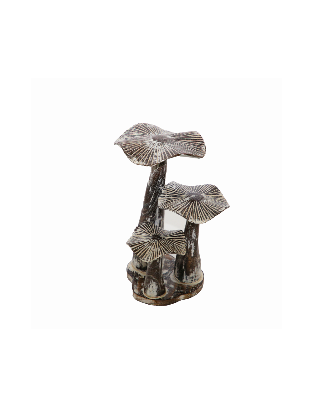 TEAK MUSHROOM