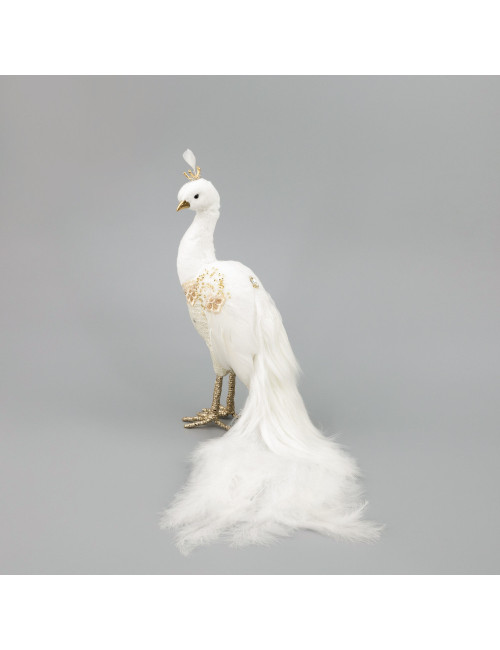 WHITE PEACOCK