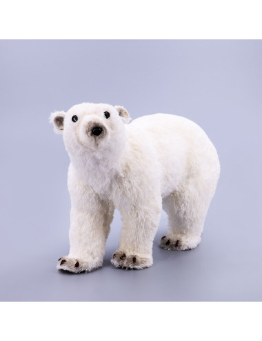 ARI POLAR I BARDHE