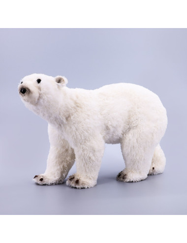 ARI POLAR I BARDHE