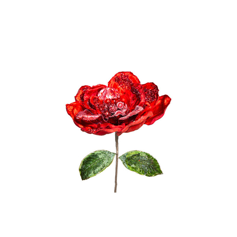 Red magnolia flower L