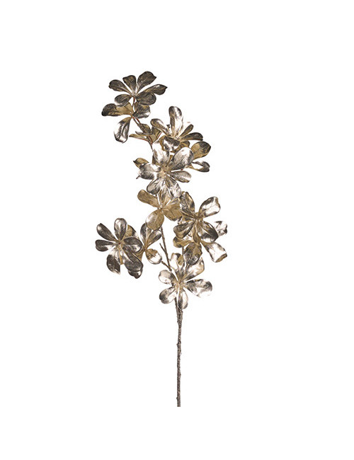 Champagne flower