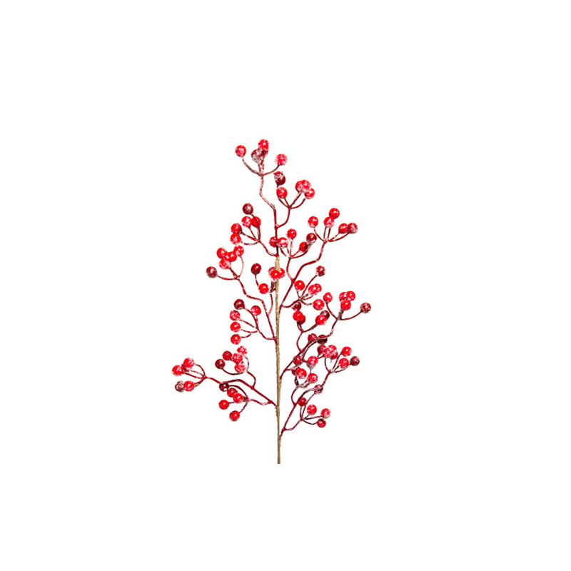 Berries branch with snow L