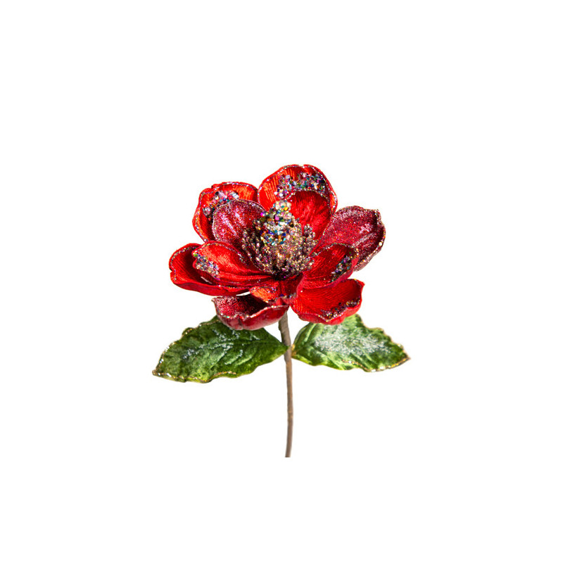 Lule magnolia multikolor