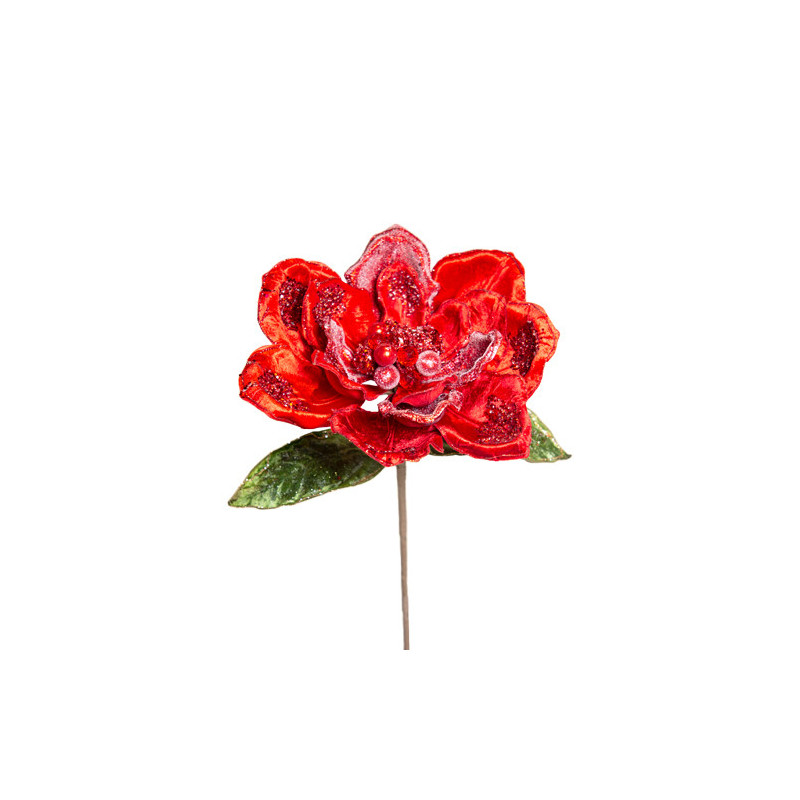 Magnolia e kuqe 3XL