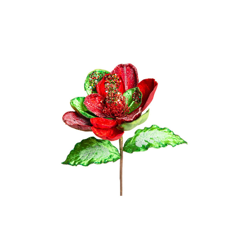 Magnolia flower red/green