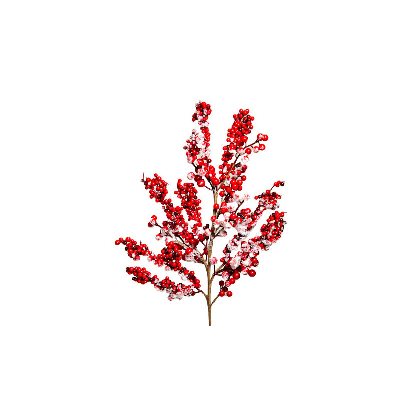 Berries branch with snow
