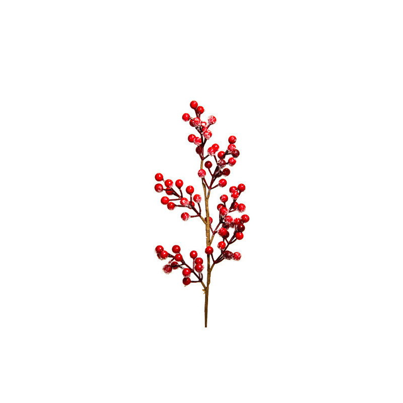 Snow berries branch