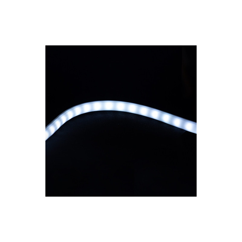 Cold neon tube with P dots