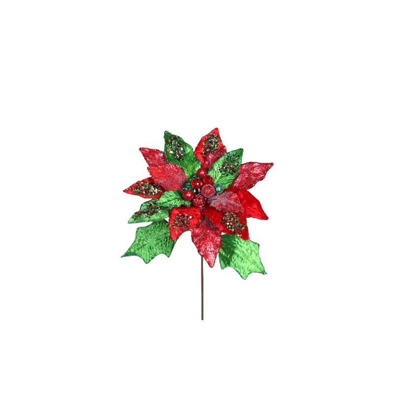 Lule poinseta e kuqe/jeshile