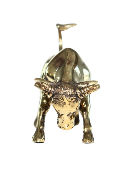 TORO DECOR