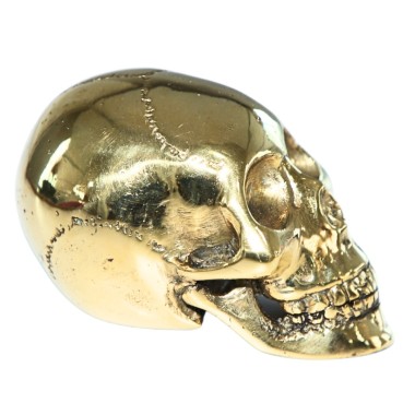 SKULL DECOR