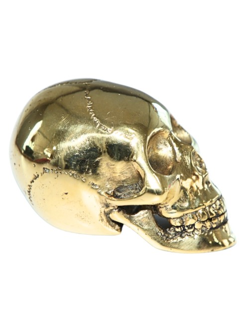 SKULL DECOR