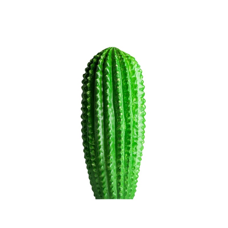 CACTUS DECOR