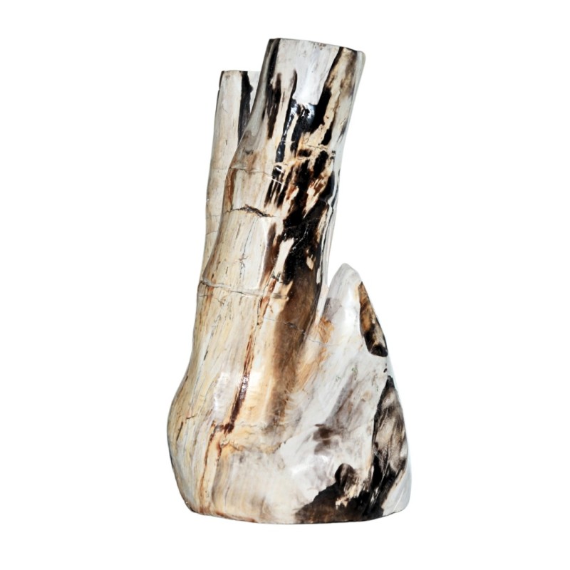 CALISTA FOSSIL STONE DECOR