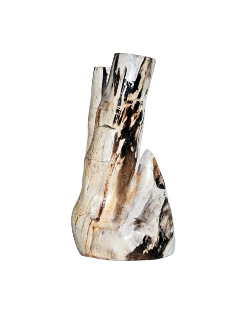 CALISTA FOSSIL STONE DECOR