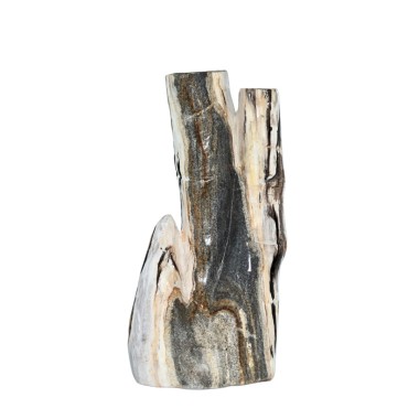 CALISTA FOSSIL STONE DECOR