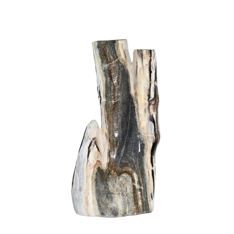 CALISTA FOSSIL STONE DECOR