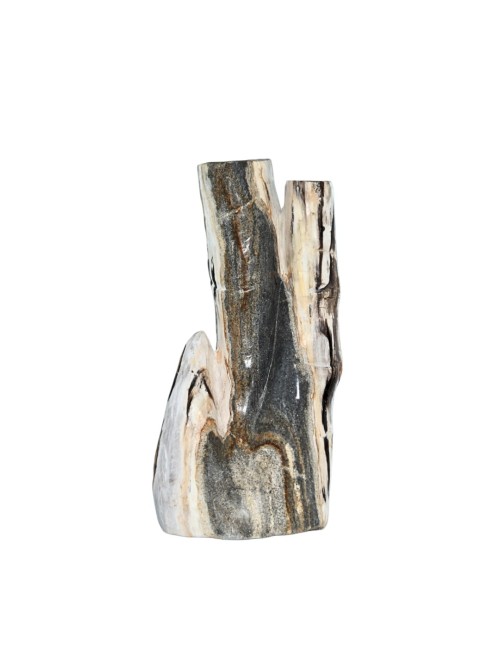 CALISTA FOSSIL STONE DECOR