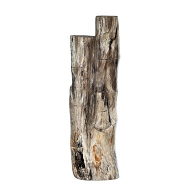 CALISTA FOSSIL STONE DECOR