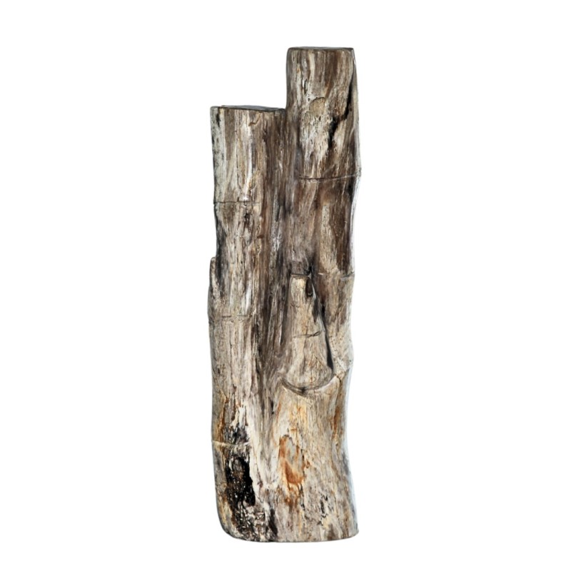 CALISTA FOSSIL STONE DECOR
