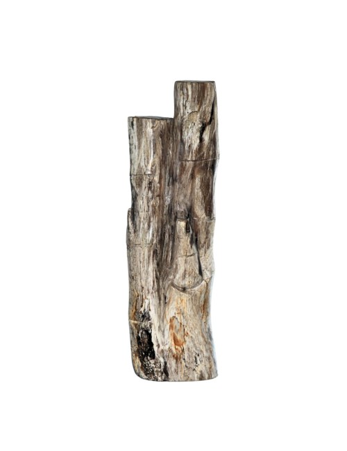 CALISTA FOSSIL STONE DECOR