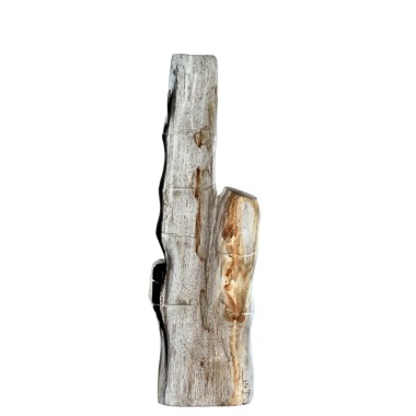 CALISTA FOSSIL STONE DECOR