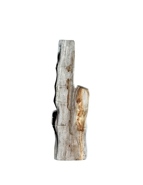 CALISTA FOSSIL STONE DECOR