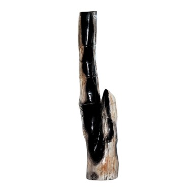CALISTA FOSSIL STONE DECOR