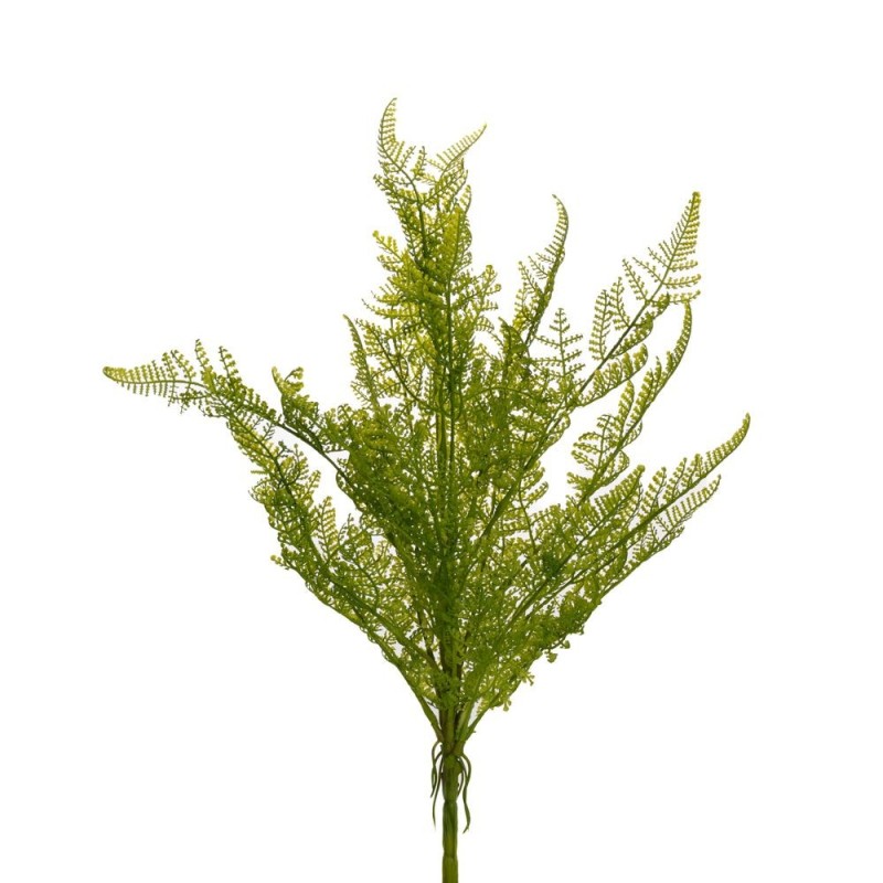 FERN DEKORATIV