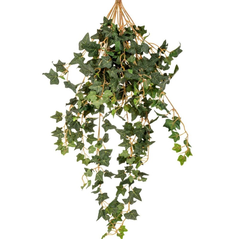 DEGE ARTIFICIALE HEDERA
