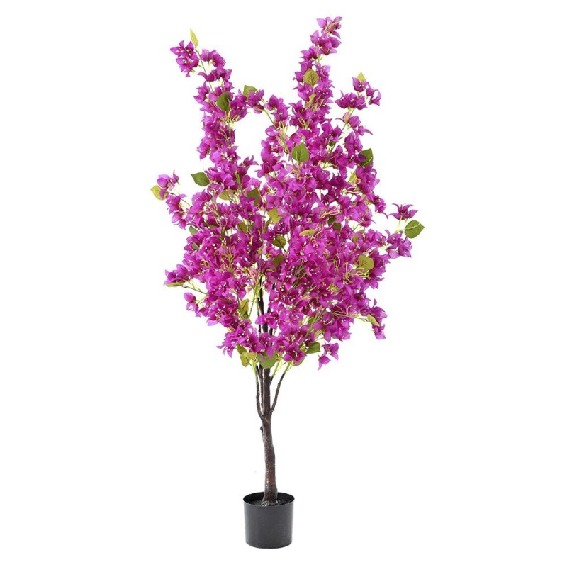 PEME DEKORATIVE BOUGAINVILLEA