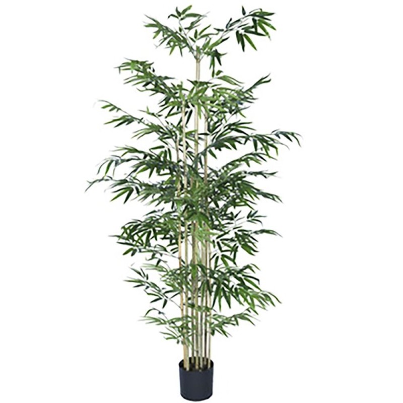 PEME BAMBOO