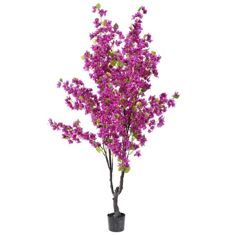 PEME DEKORATIVE BOUGAINVILLEA