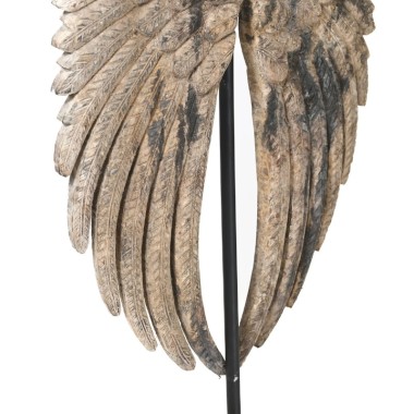 ANGEL WINGS