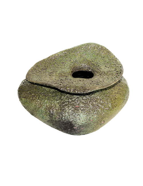 VAZO MUSHROOM