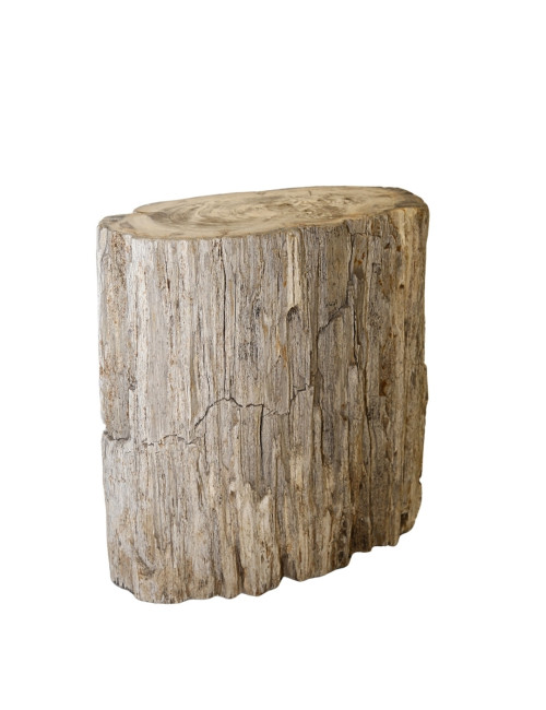 NATURAL FOSSIL BENCH