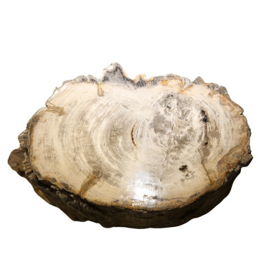 FOSILI NATYRAL Stool – Rustic Wood  | Sezon Dekor