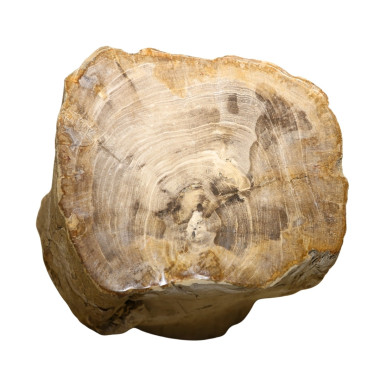 FOSILI NATYRAL Stool – Rustic Wood  | Sezon Dekor