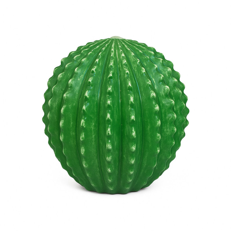 CACTUS DECOR