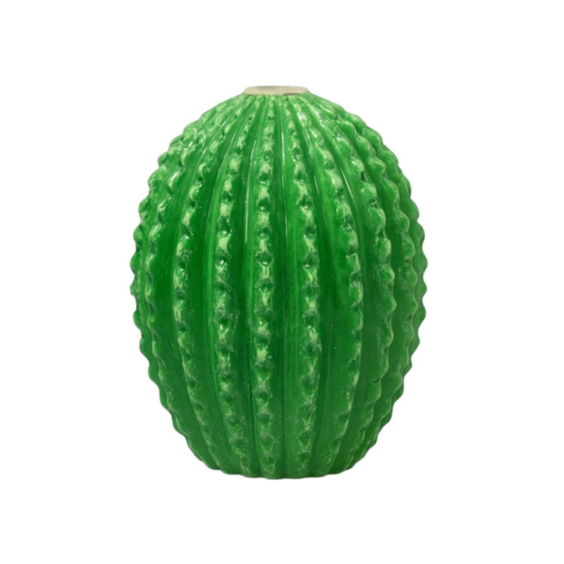 CACTUS DECOR
