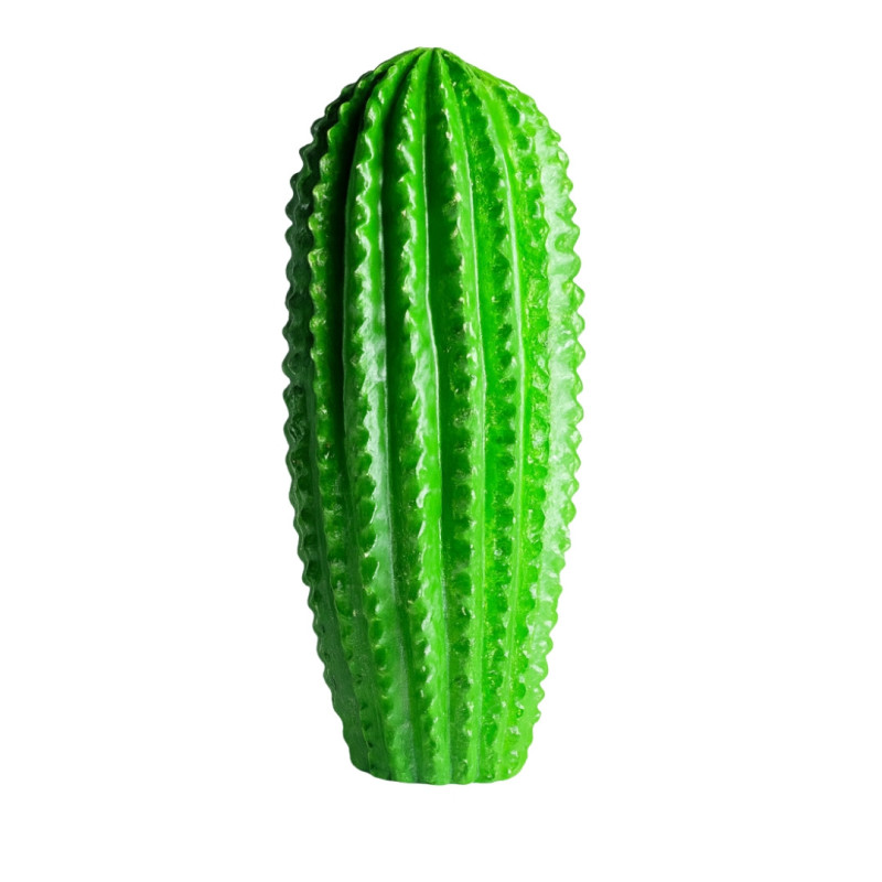 CACTUS DECOR