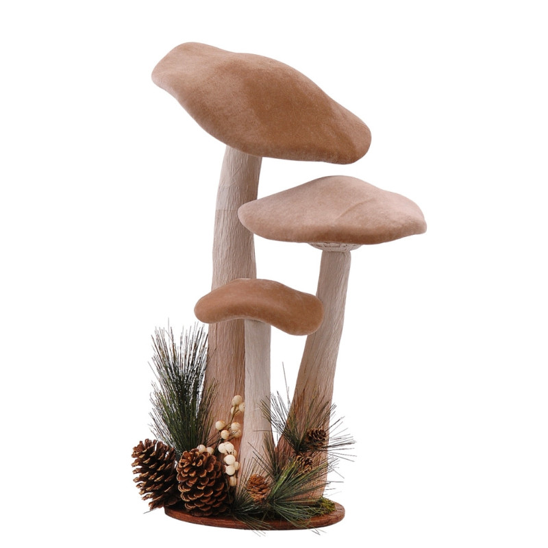 BROWN MUSHROOMS