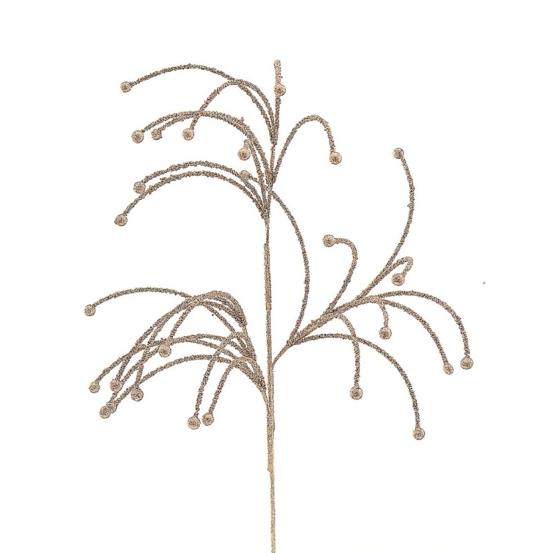 CHAMPAGNE BRANCH