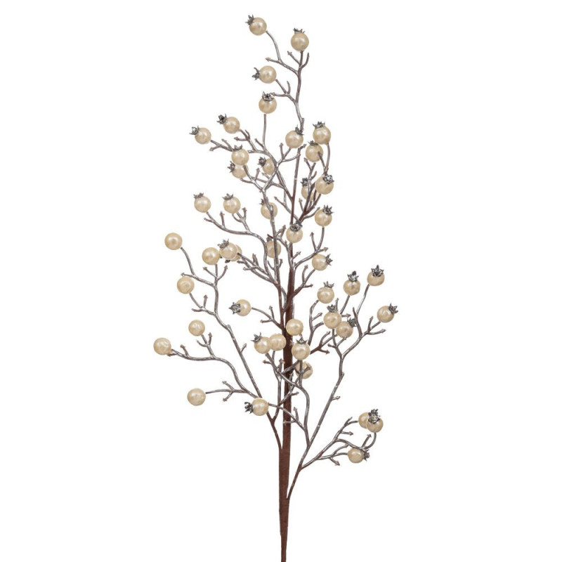 BRANCH WITH SAMPAGNE BERRIES