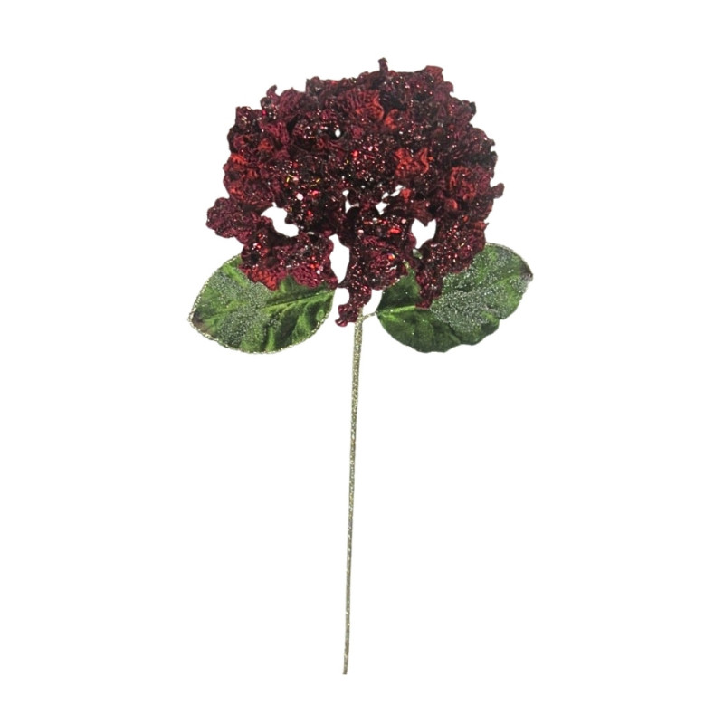 BURGUNDY BLOOM