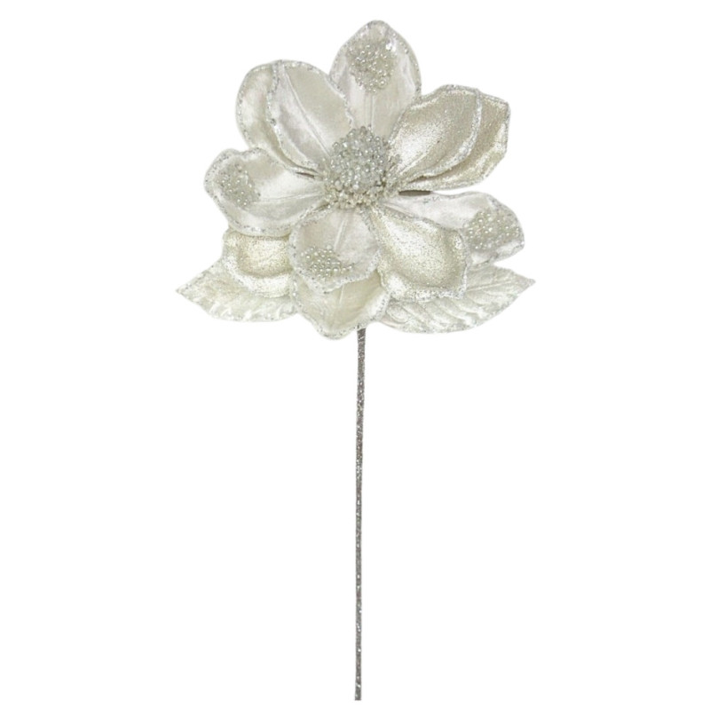 DEGË MAGNOLIA M