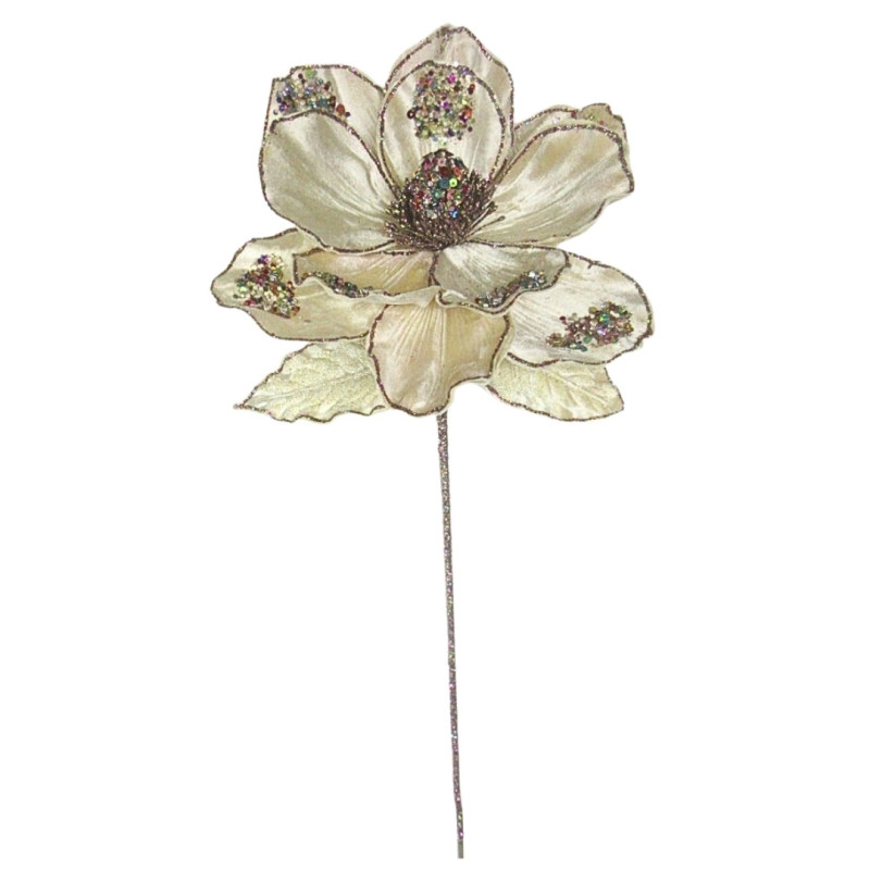 MAGNOLIA STEM GOLD/CHAMPAGNE  L